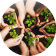 Building an Ecosystem